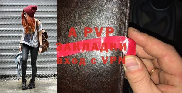 стаф Богородицк