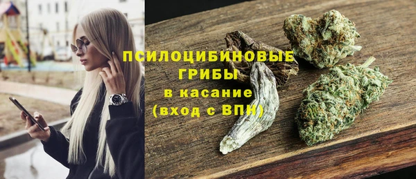 ПСИЛОЦИБИНОВЫЕ ГРИБЫ Осинники