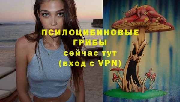 МДМА Богданович