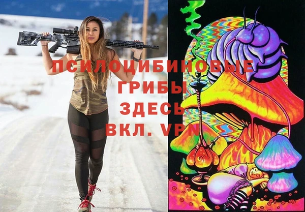МДМА Богданович