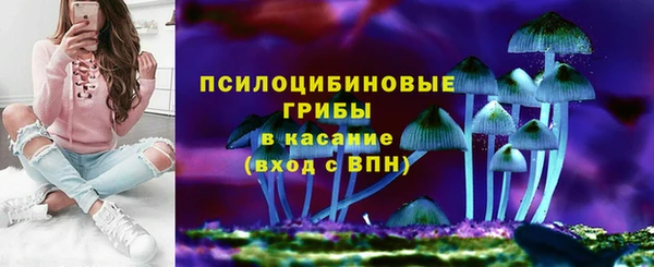 ПСИЛОЦИБИНОВЫЕ ГРИБЫ Пестово