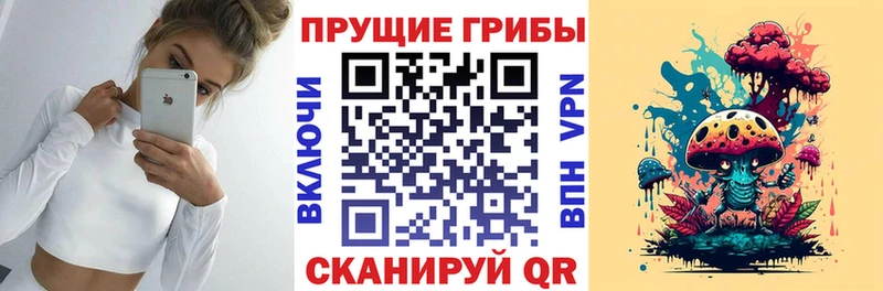 Псилоцибиновые грибы прущие грибы  цена   Венёв 