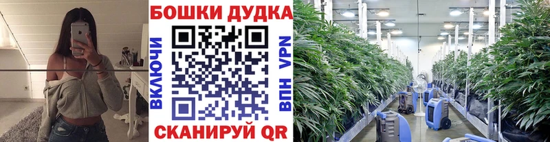 Каннабис ГИДРОПОН  Венёв 